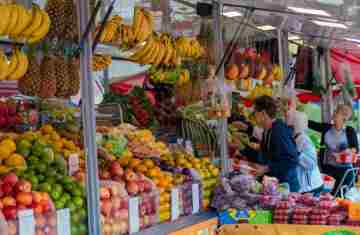 Com aumento de 11,8%, Paraná alcança saldo de 143 mil novas empresas em 2025